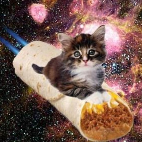 Meet your Posher, Rox - Picture 1 of 1